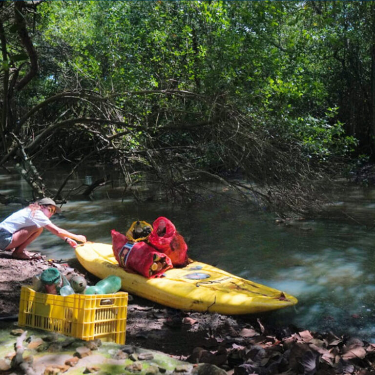Ação de coleta e manejo de resíduos em área de manguezal