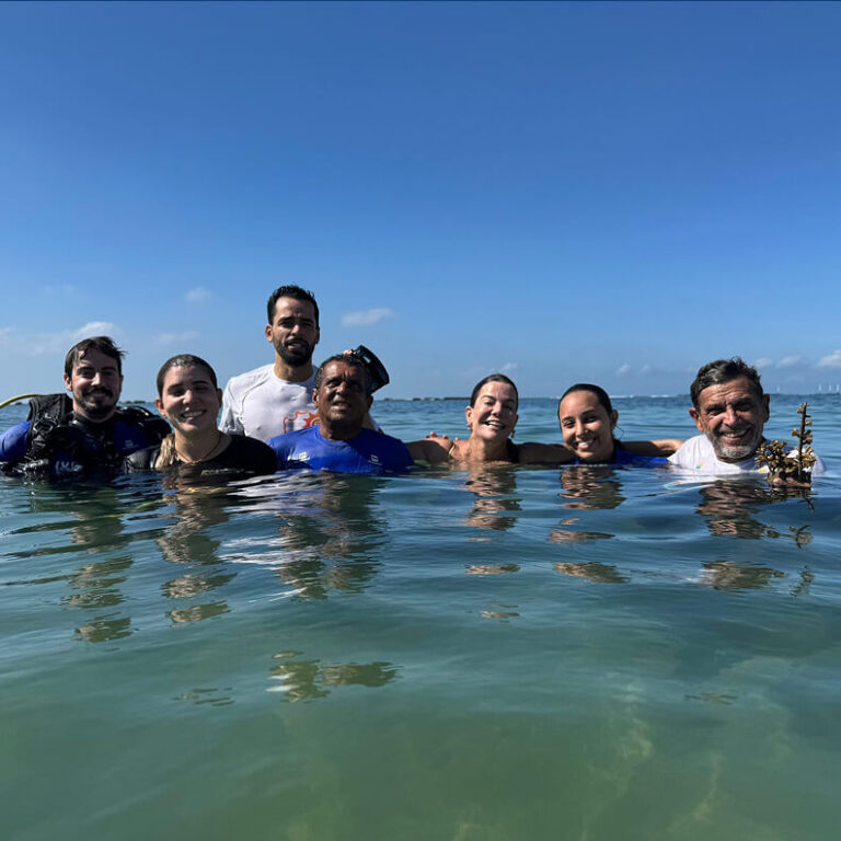 Equipe da PRO-MAR durante atividade de campo em ambiente marinho