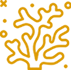 icone coral