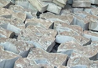 Fragmentos de coral para manejo e conservação marinha